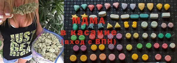 стаф Алексин