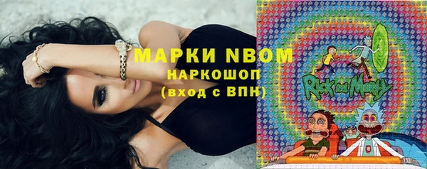 стаф Алексин