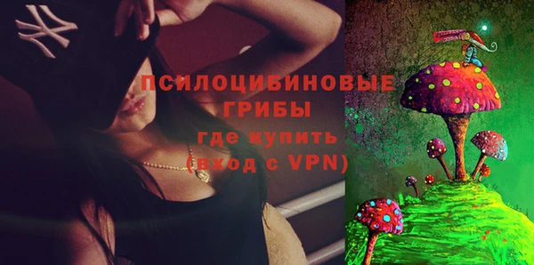 прущий лед Алзамай