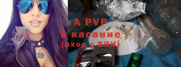 стаф Алексин
