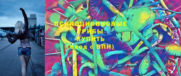 стаф Алексин