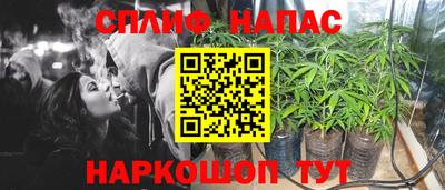 мяу мяу мука Нарткала