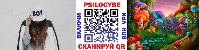 Галлюциногенные грибы Cubensis  Тамбов 