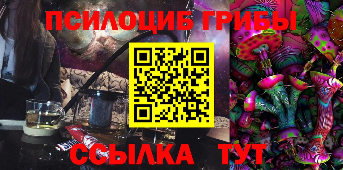 Псилоцибиновые грибы Psilocybine cubensis  сколько стоит  Тамбов  Вход с VPN 