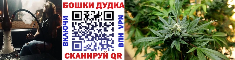 Конопля MAZAR  сколько стоит  Тамбов 